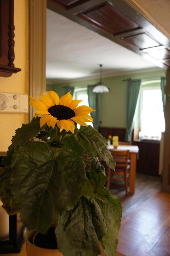 Landgasthaus Muellers Gasthof ラーデベルク エクステリア 写真